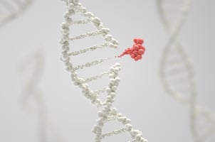 CRISPR/Cas9 gene editing