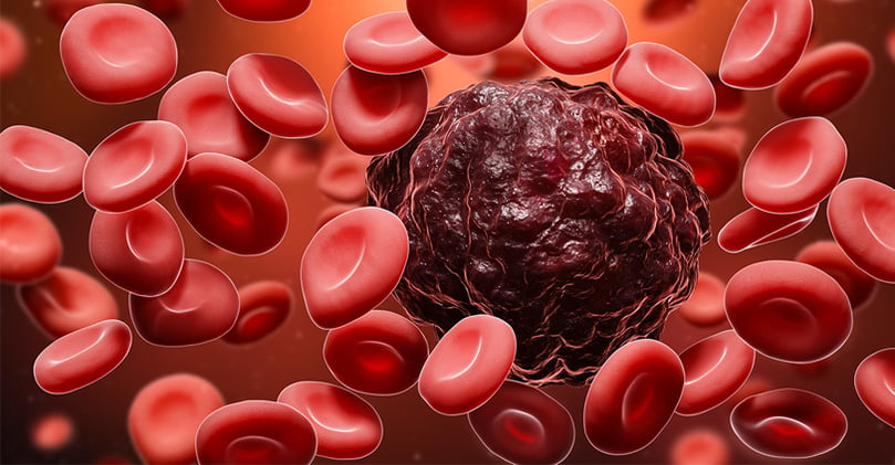 blood cells