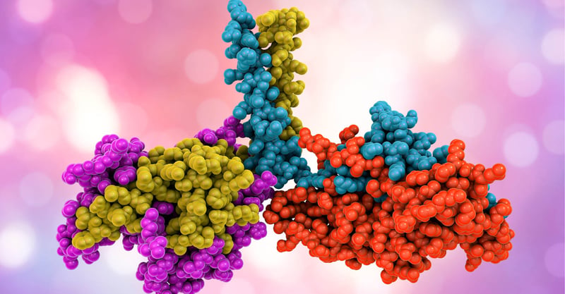 3D rendition of a protein kinase showing each protein domain in a different color.