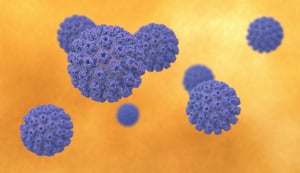 Human papillomavirus