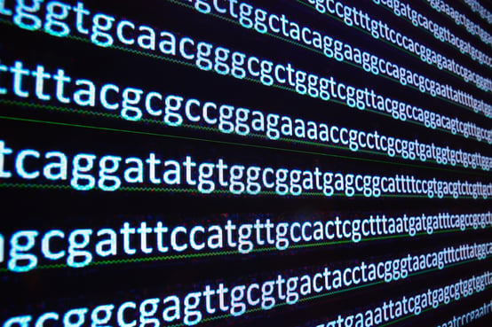 RNAseq vs WTS Blog_Section Image