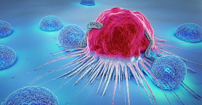 Cancer Cell and Lymphocytes