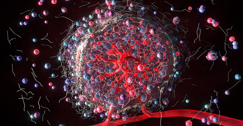 3D rendering of the tumor microenvironment