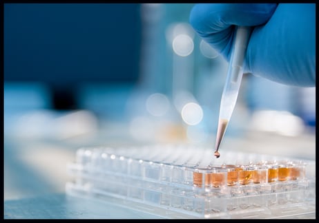 Lab technician injecting liquid into a microtiter plate