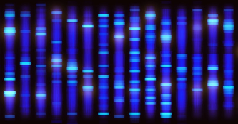 Illustration of a method of DNA sequencing