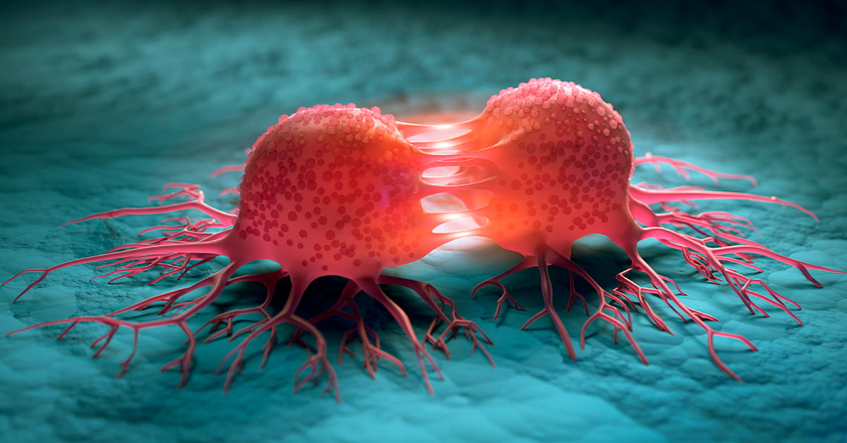 Splitting cancer Cells