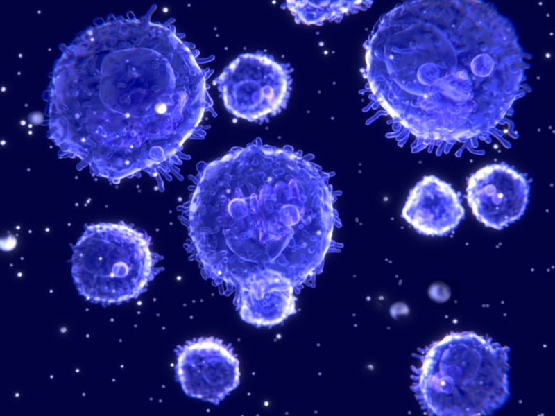 T lymphocytes, B lymphocytes and natural killer cells