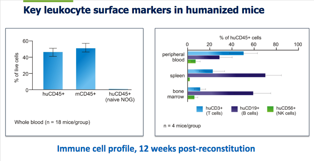 key-leukocyte-surface-markers