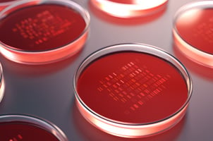 Red petri dishes with samples for DNA sequencing