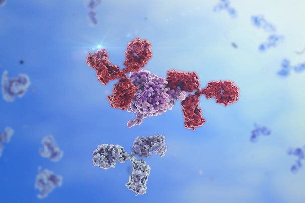 Bispecific antibody binding target protein on the tumor cell surface.