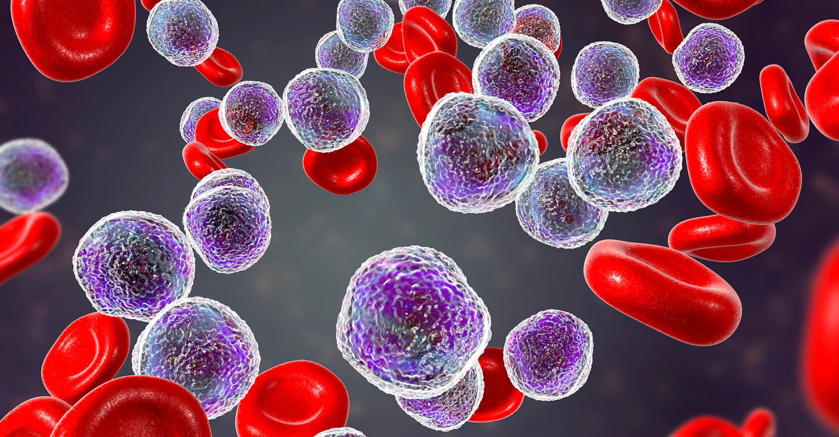 Microscopic view of Myelodysplastic Syndrome (MDS) cells with varied shapes surrounding healthy red blood cells (RBCs) that are circulating in a blood vessel.